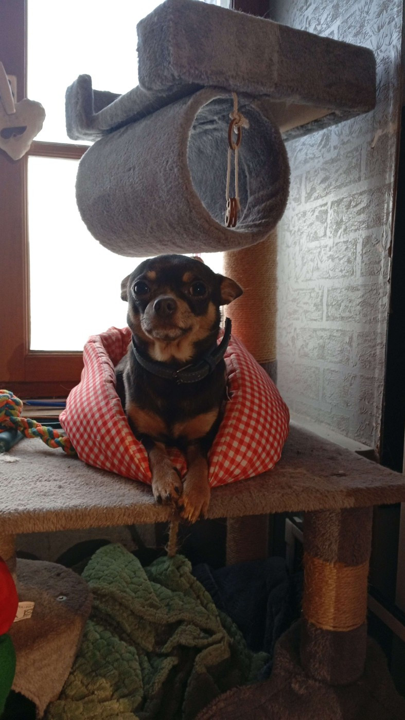 Uzumaki des hobereaux d’argogne