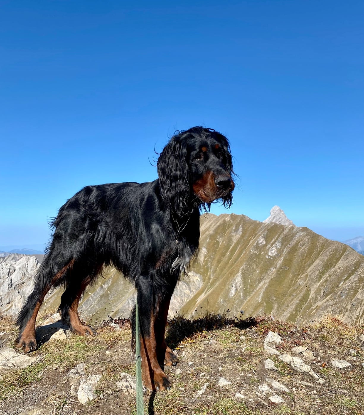 Publication : Charlotte Allion Auteur : Charlotte