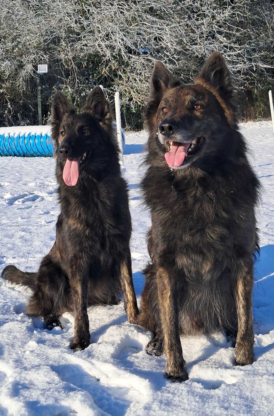 Pow wow du mont Brabant