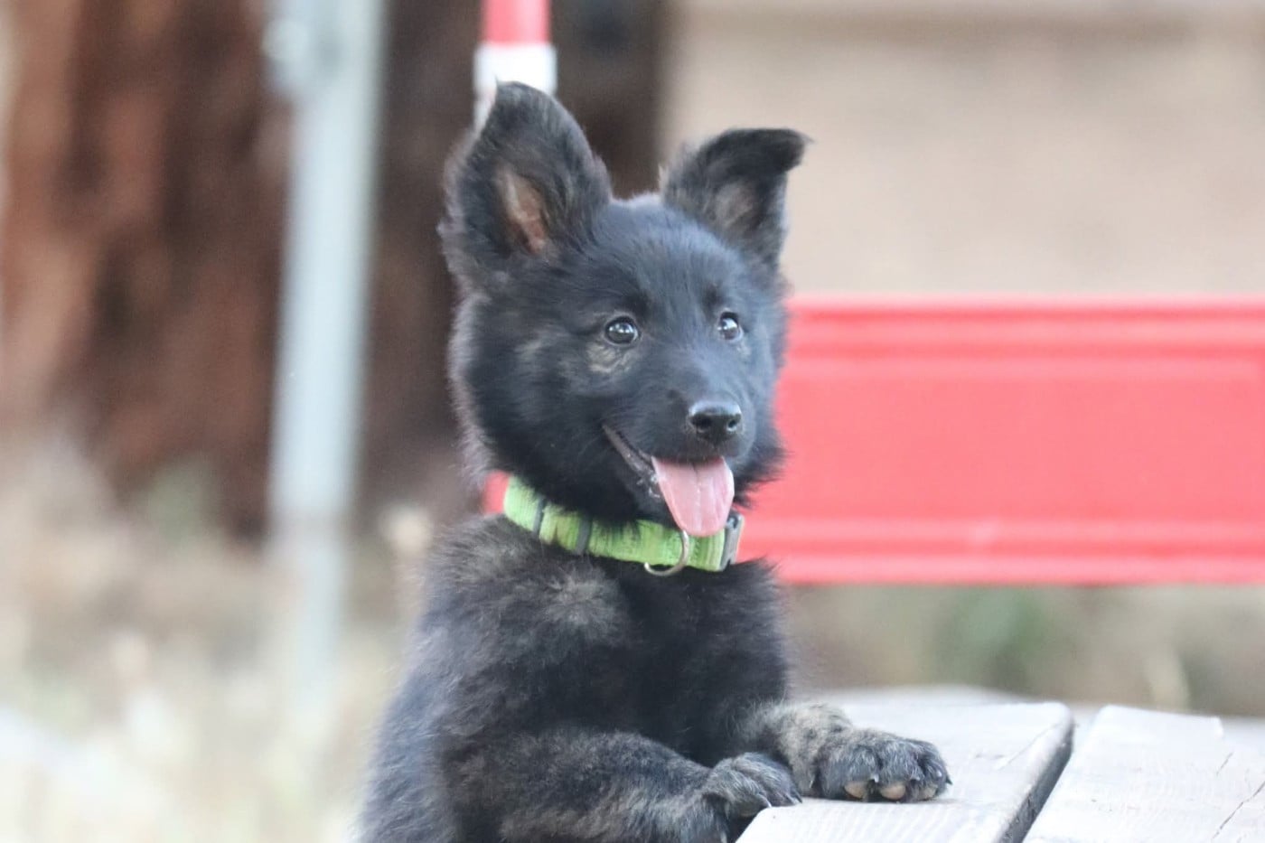 Publication : Of Little Hook Auteur : Little Hook