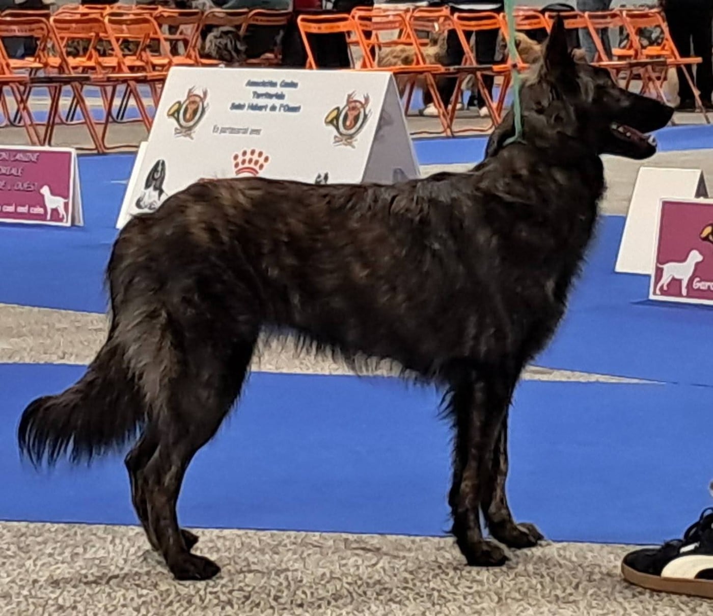 Publication : Of Little Hook Auteur : Little Hook