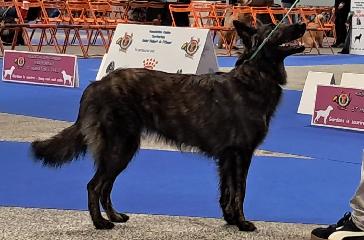 Publication : Of Little Hook Auteur : Little Hook