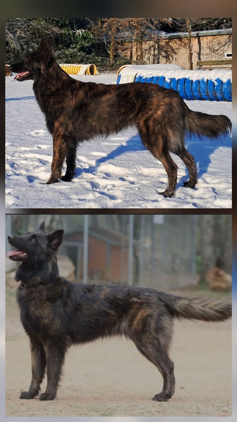 Publication : Of Little Hook Auteur : Little Hook