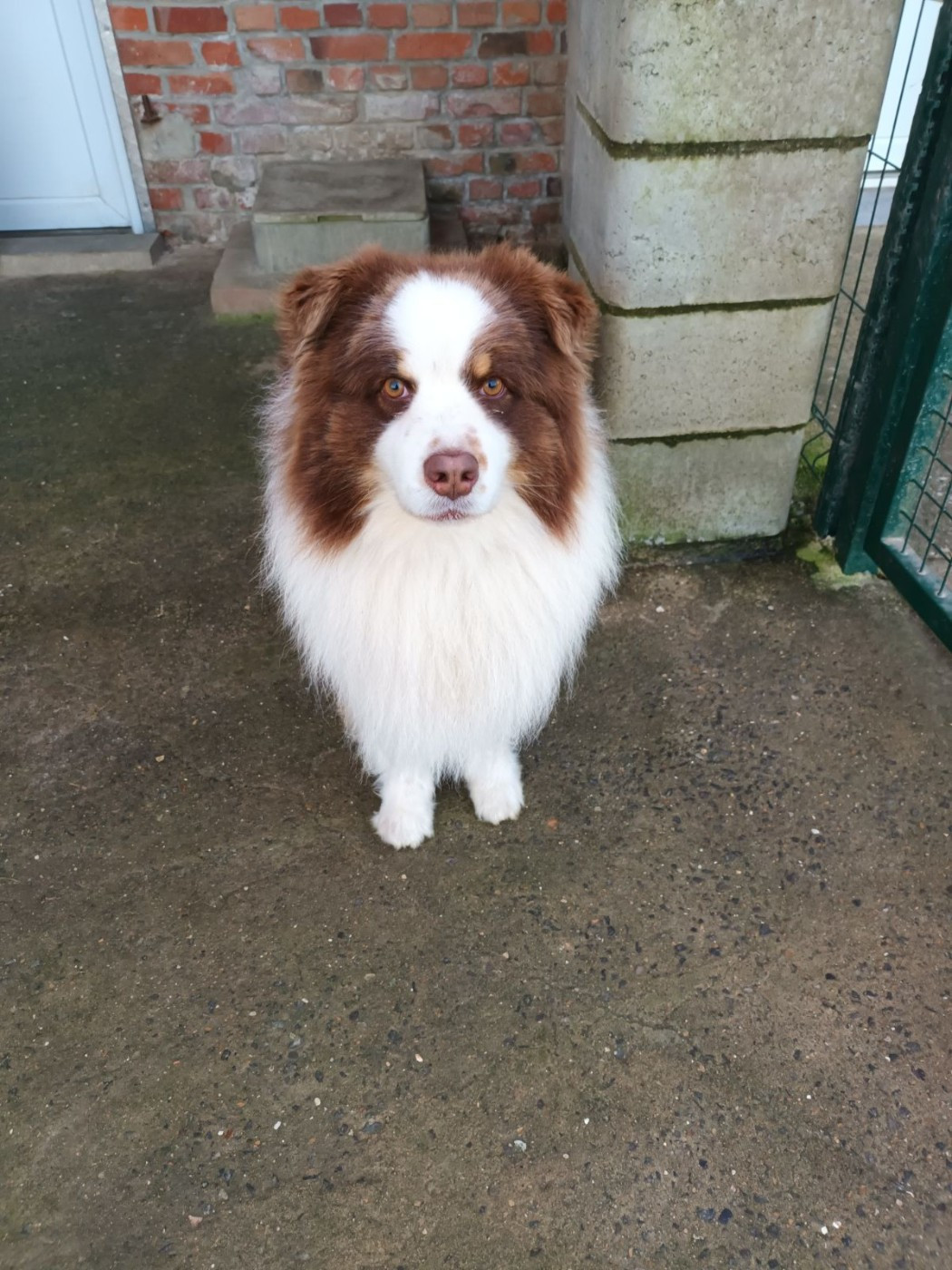 Vvesteros winterfell du chemin des korrigans Titre Initial