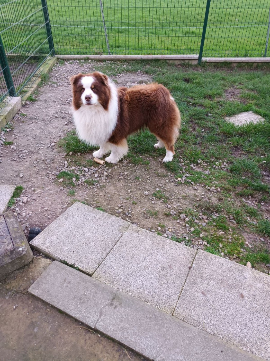 Vvesteros winterfell du chemin des korrigans Titre Initial