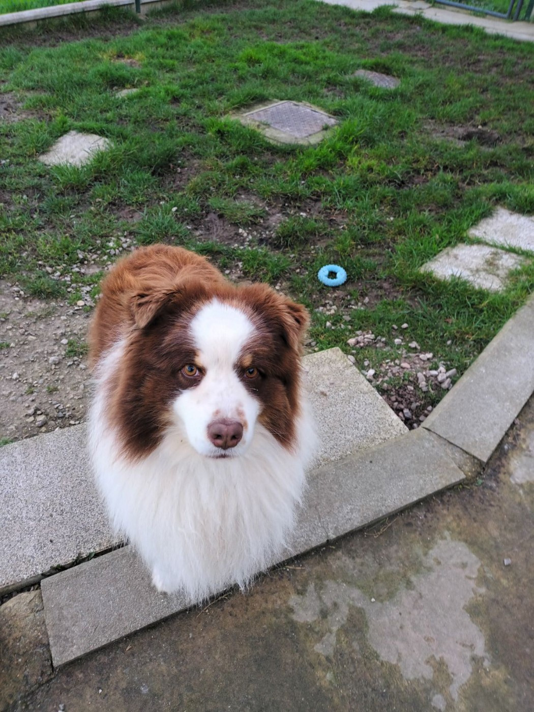 Vvesteros winterfell du chemin des korrigans Titre Initial