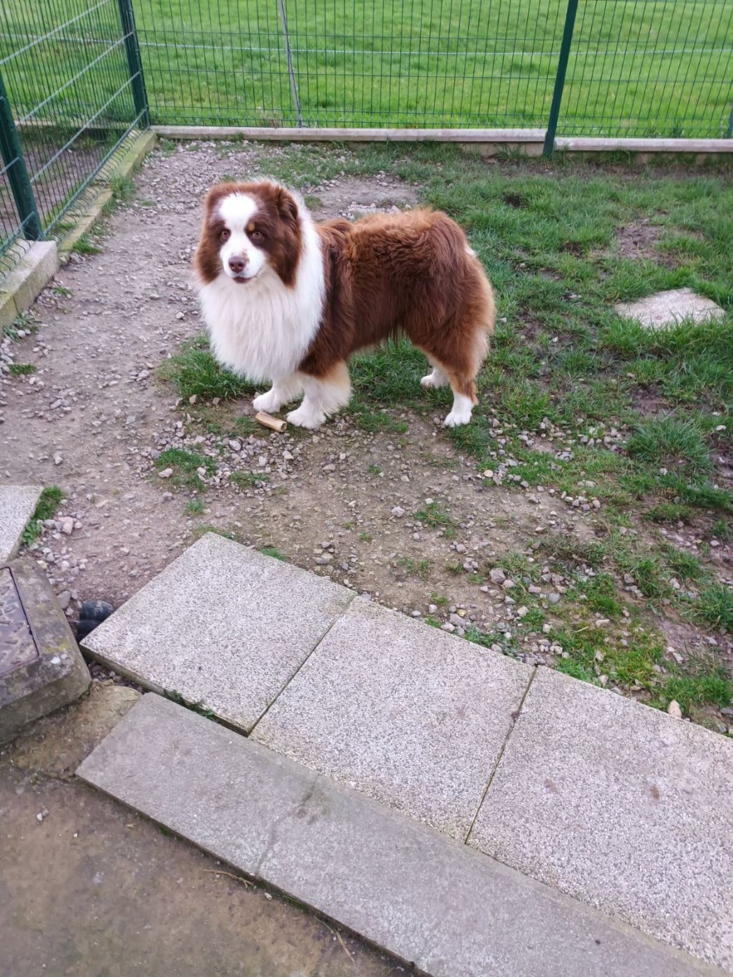 Vvesteros winterfell du chemin des korrigans Titre Initial