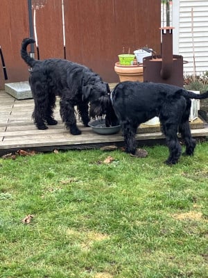 De La Terrasse De Flandre