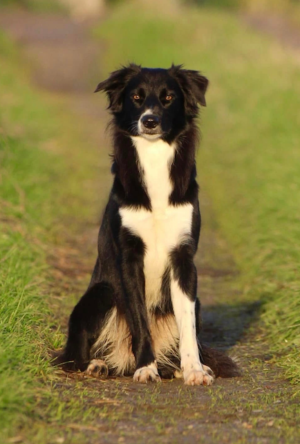 UMY des contrées polaires