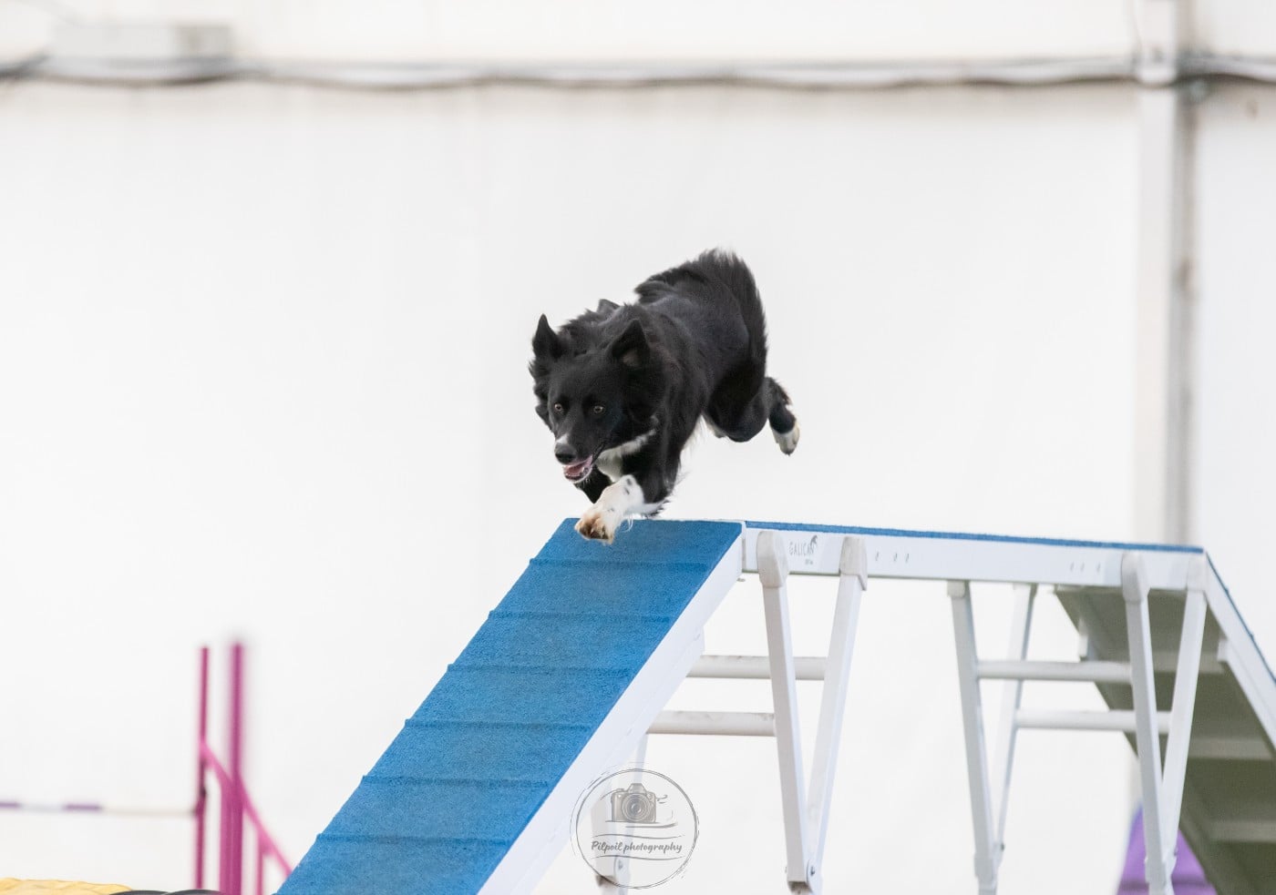 UMY des contrées polaires