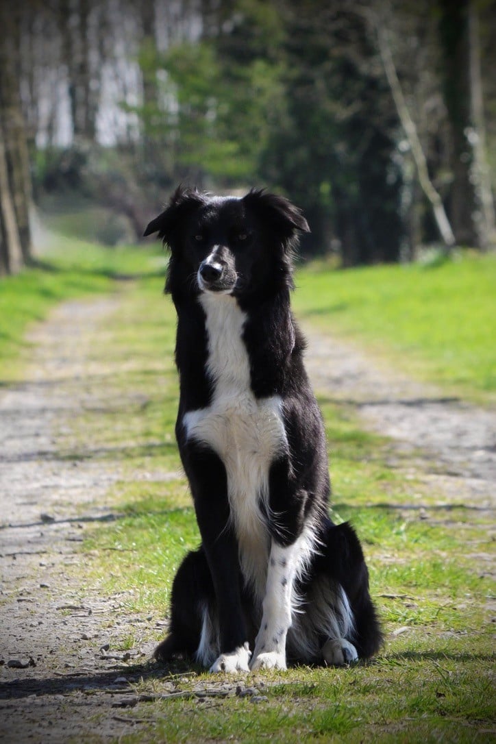 UMY des contrées polaires