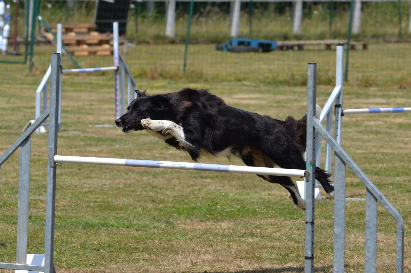 UMY des contrées polaires