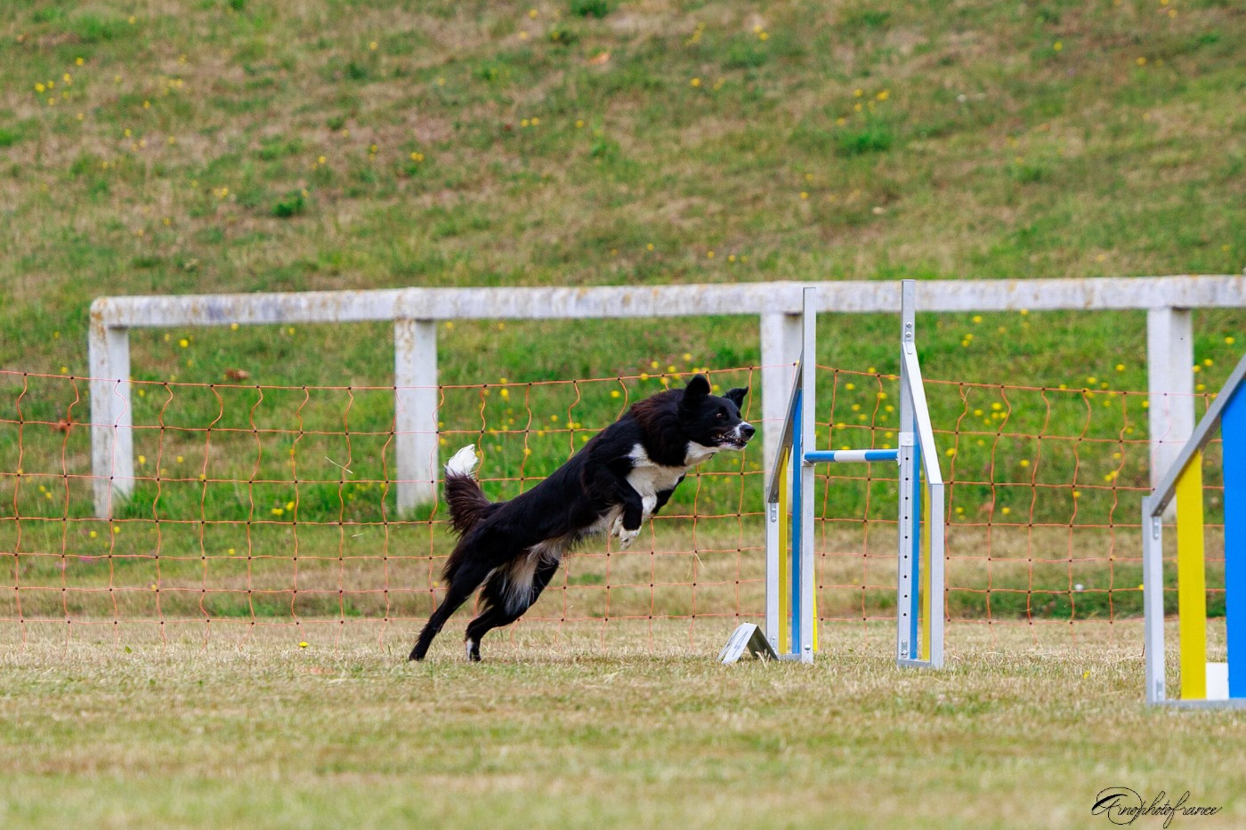 UMY des contrées polaires