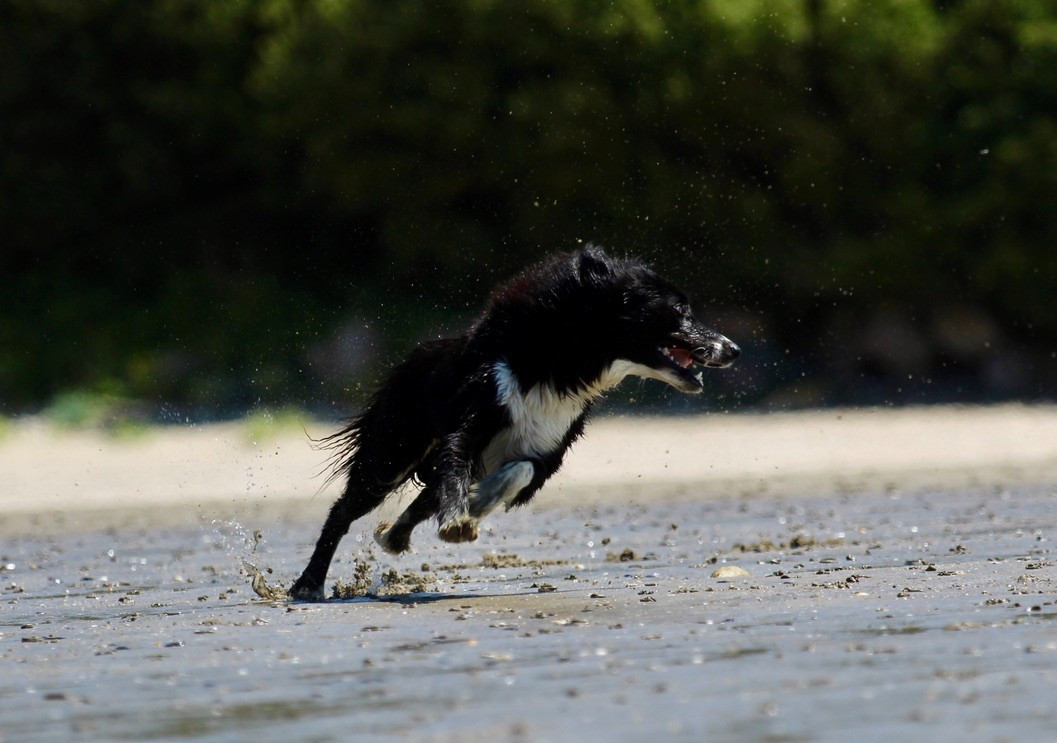 UMY des contrées polaires