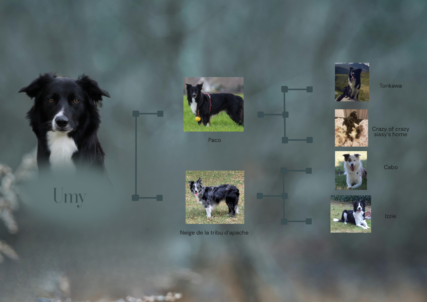 UMY des contrées polaires