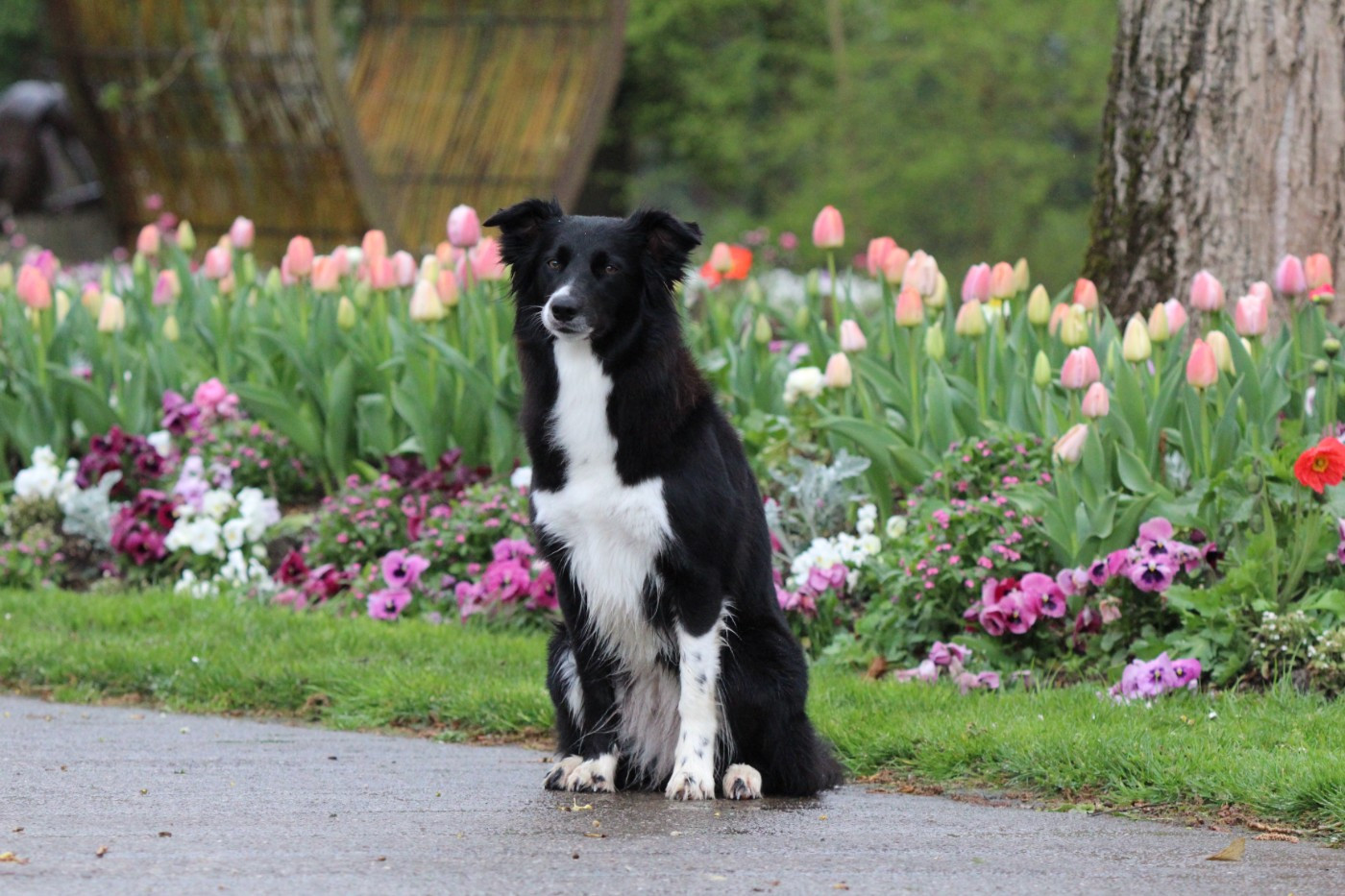 UMY des contrées polaires
