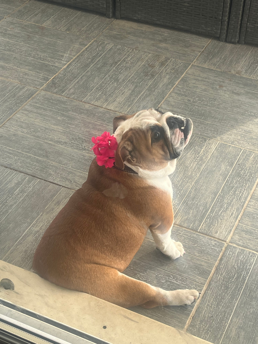 Publication : Des Praz D'Orépac