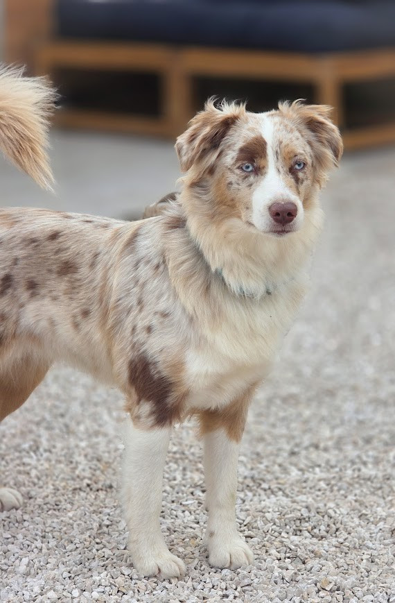 Vanity (Sans Affixe)