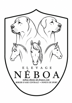 Néboa