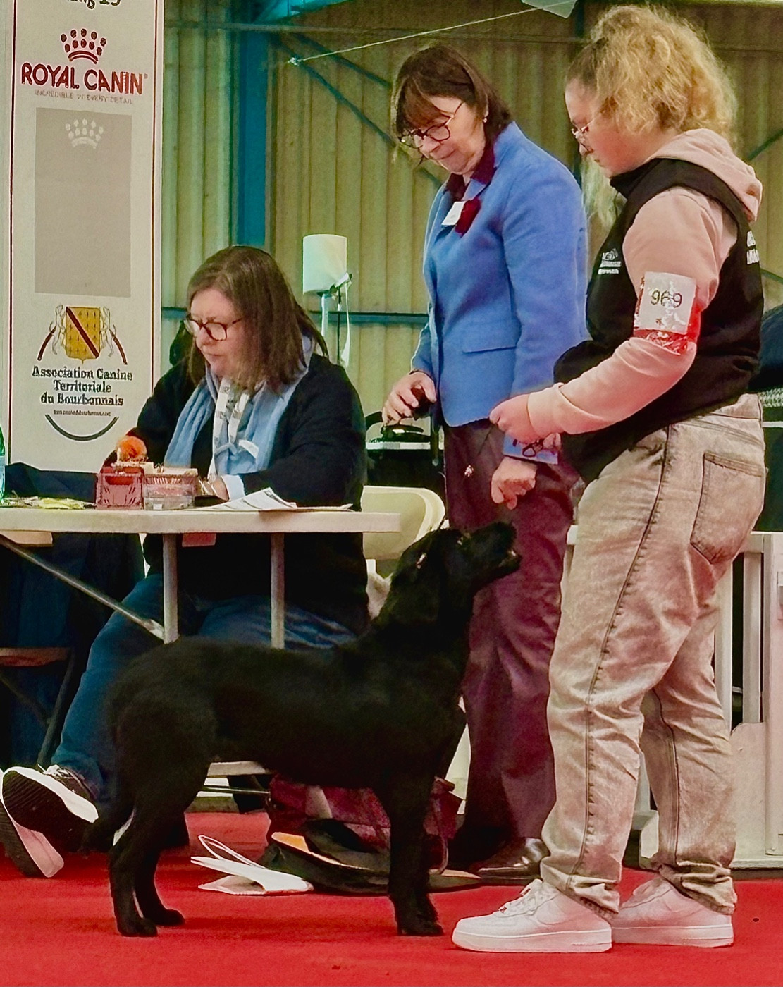 Publication : Les Veneurs De L'Occrochat