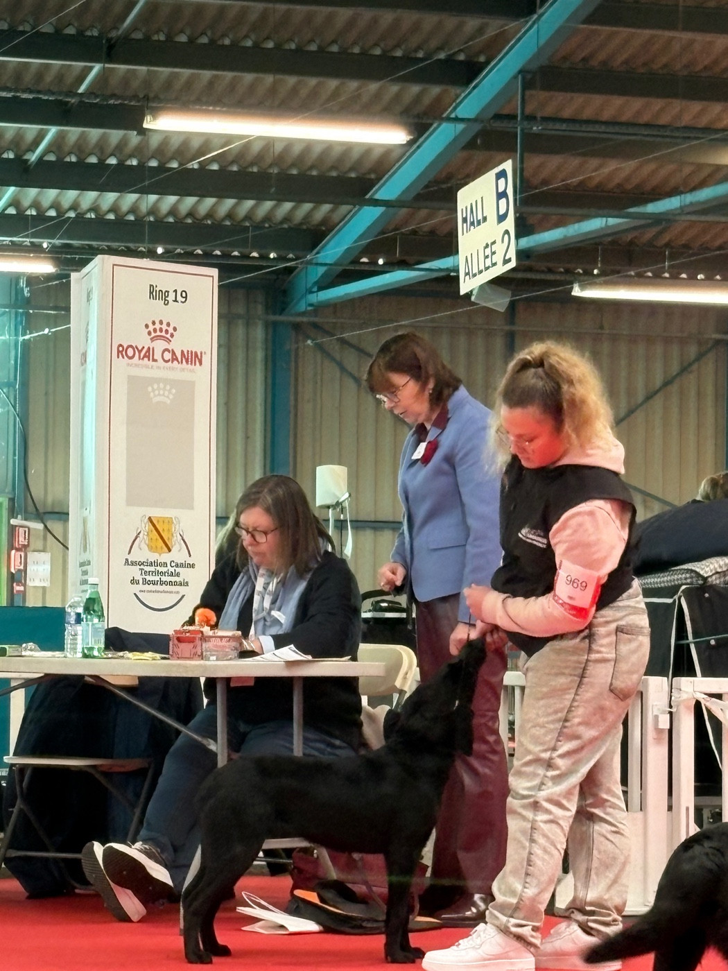 A very irrésistible Artemis (Sans Affixe) - 2ème prometteur