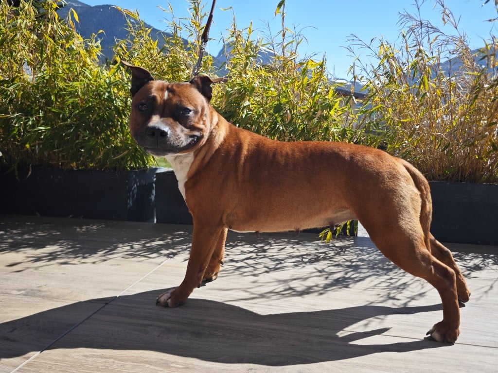 Publication : Des Ecrins Du Guil