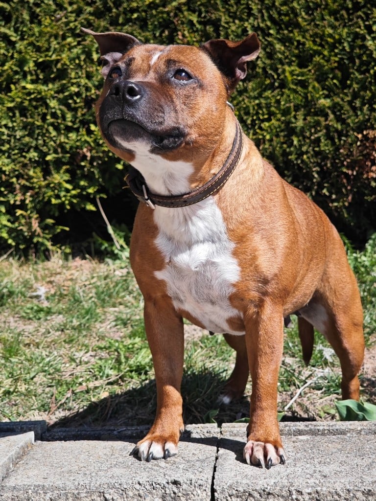 Publication : Des Ecrins Du Guil