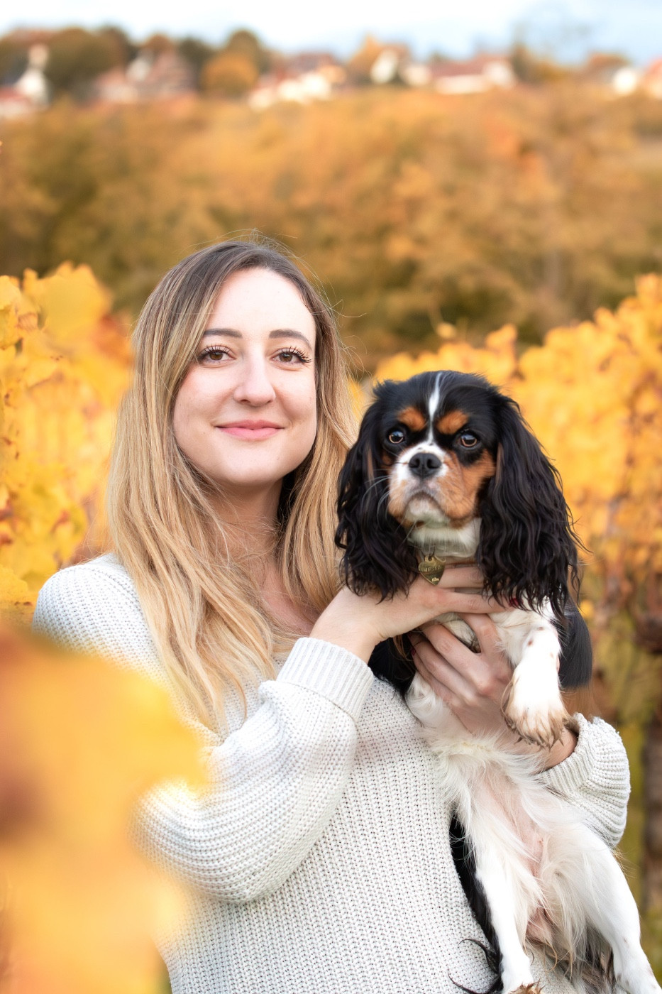 Publication : Des Perles De L'Olympe