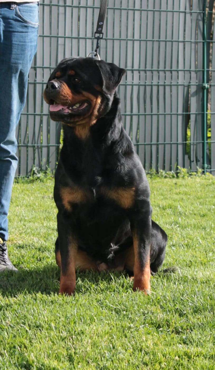 Publication : Of Corazon Warriors