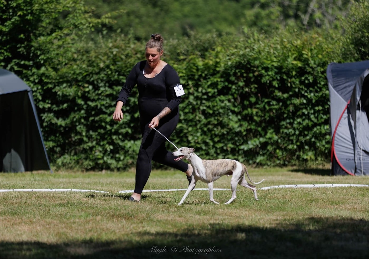 Publication : Estelle Follain Auteur : Mathilde