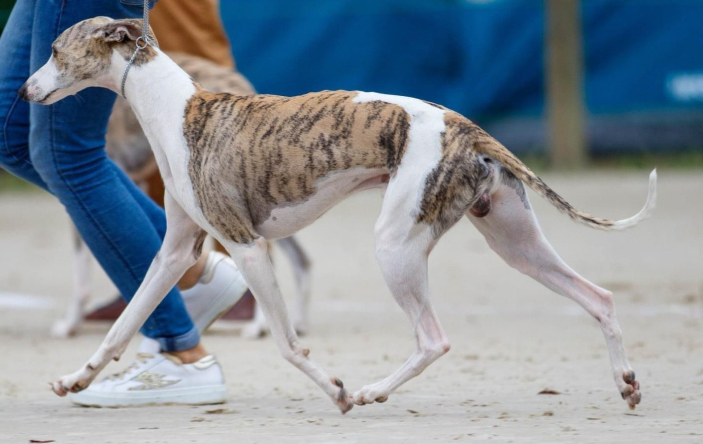 Publication : Estelle Follain Auteur : Mathilde