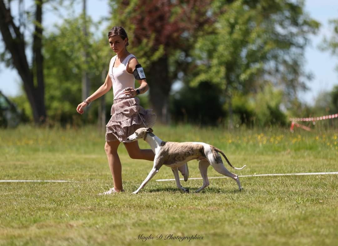 Publication : Estelle Follain Auteur : Mathilde