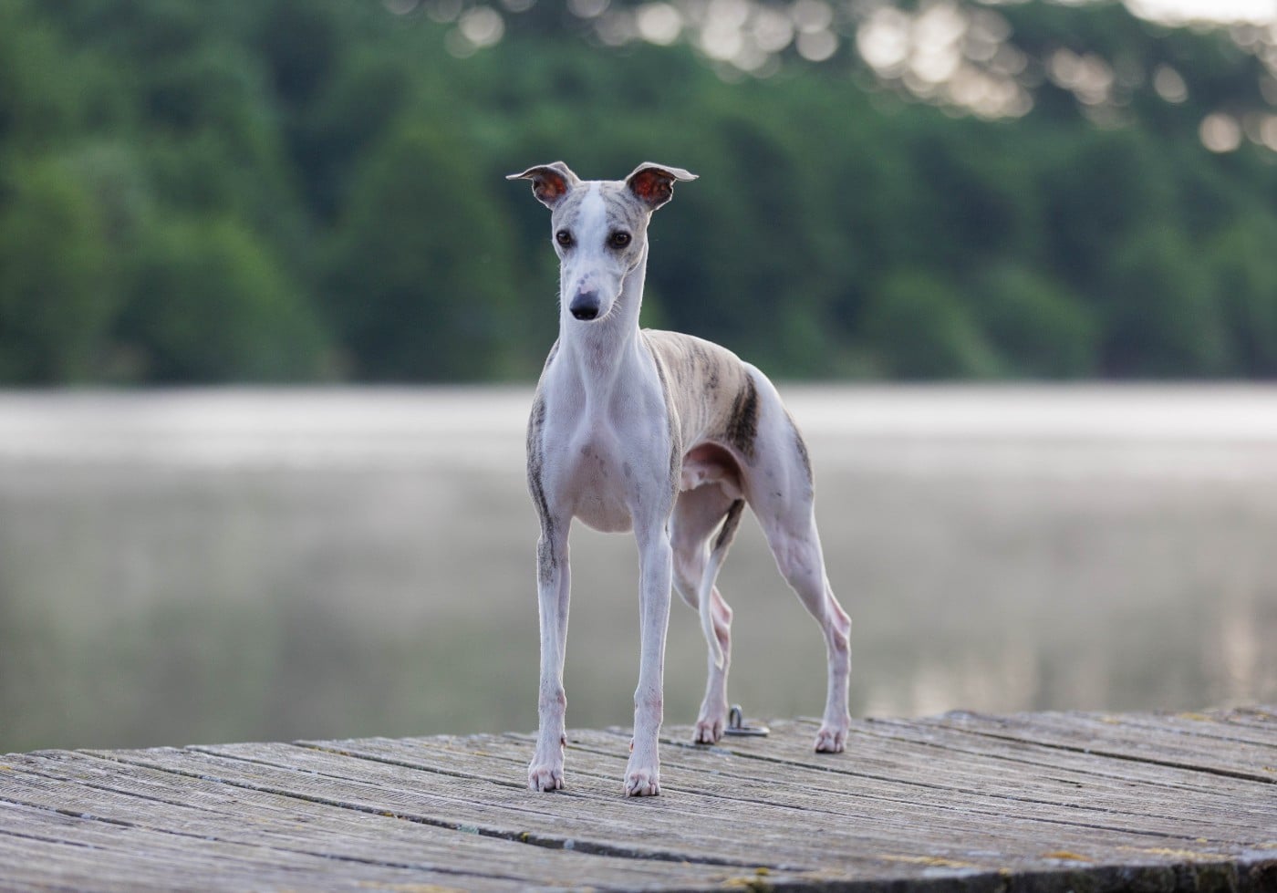 Publication : Estelle Follain Auteur : Mathilde