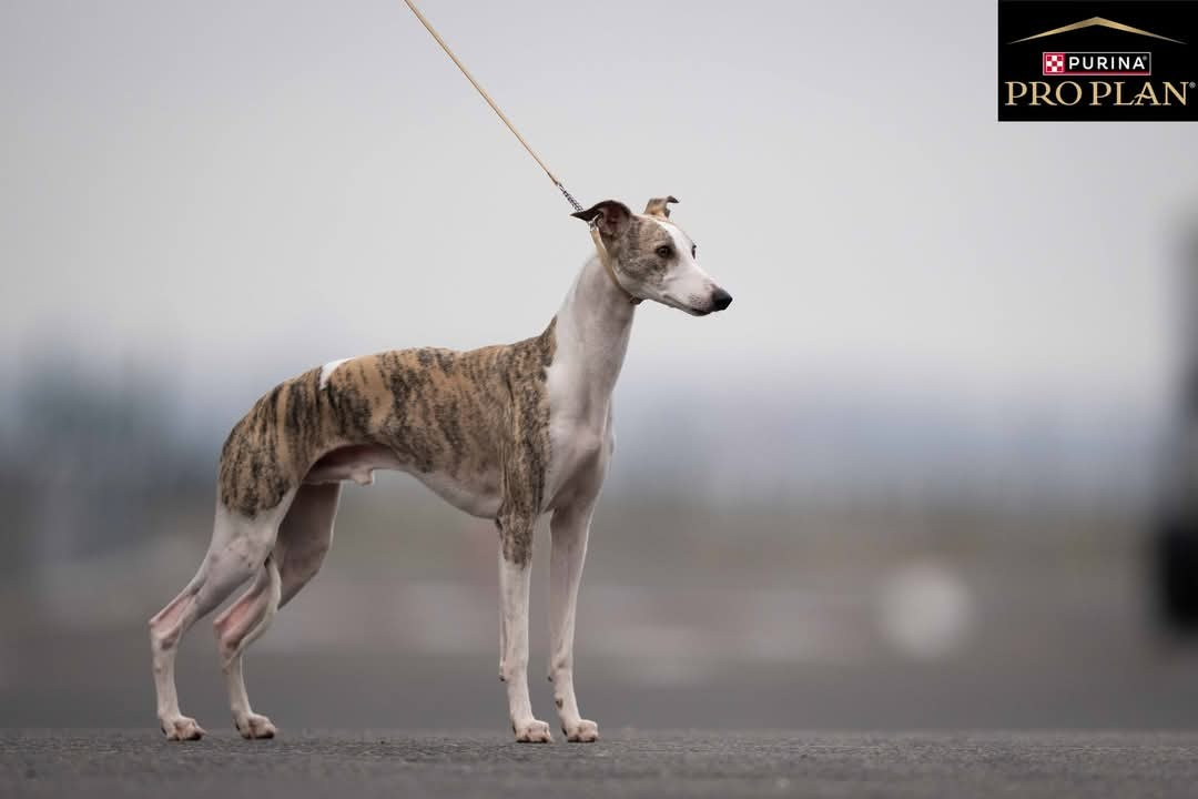 Publication : Estelle Follain Auteur : Mathilde