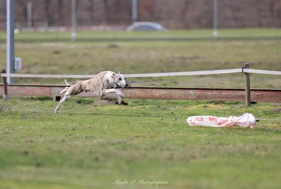 Publication : Estelle Follain Auteur : Mathilde