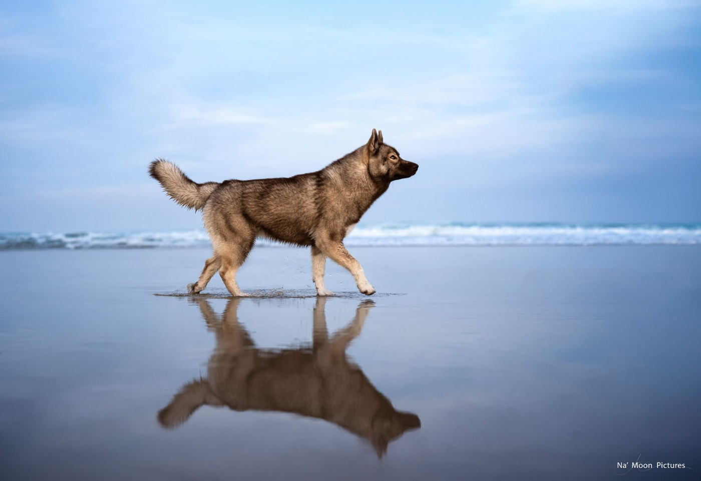 Ti amo Des Flocons Sibériens