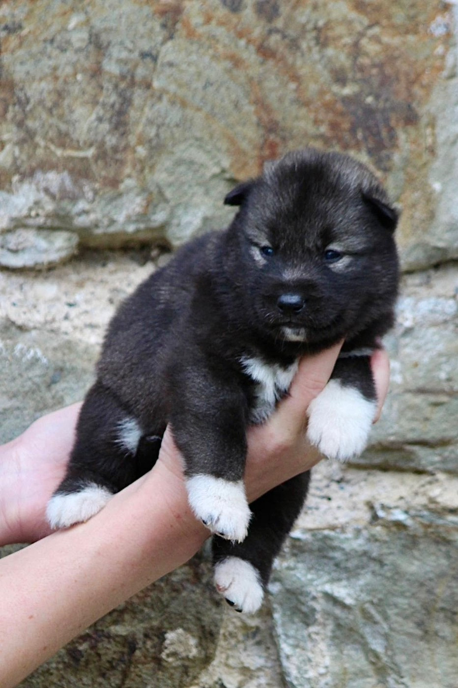 Your angel of light "Kähu" Of The Nordic Empire