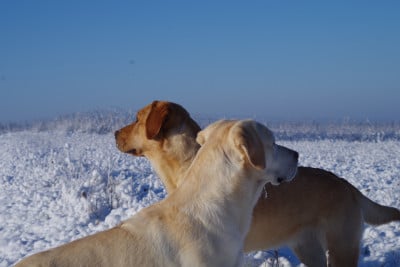 Des Bords De L'Aubance