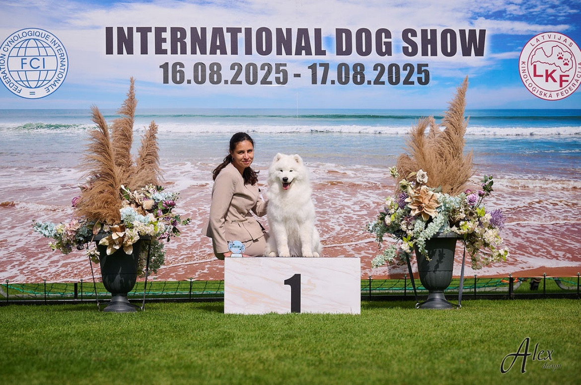 CH. Uptown Girl Daytona boschi vecchi - CAC- CACIB- RBIG