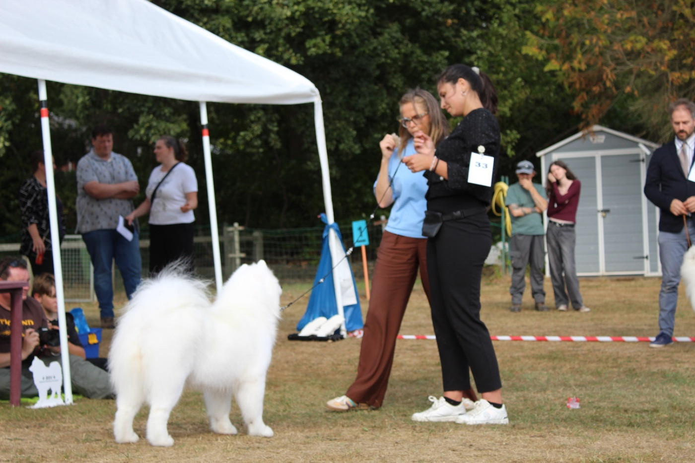 CH. Uptown Girl Daytona boschi vecchi - Best In Show Speciality