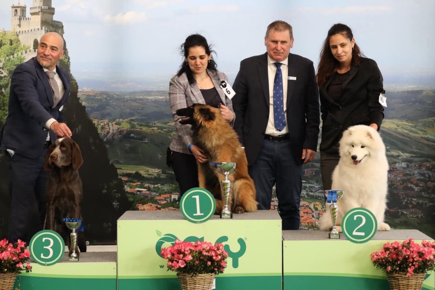 CH. Uptown Girl Daytona boschi vecchi - BOB Puppy - Rbis Puppy