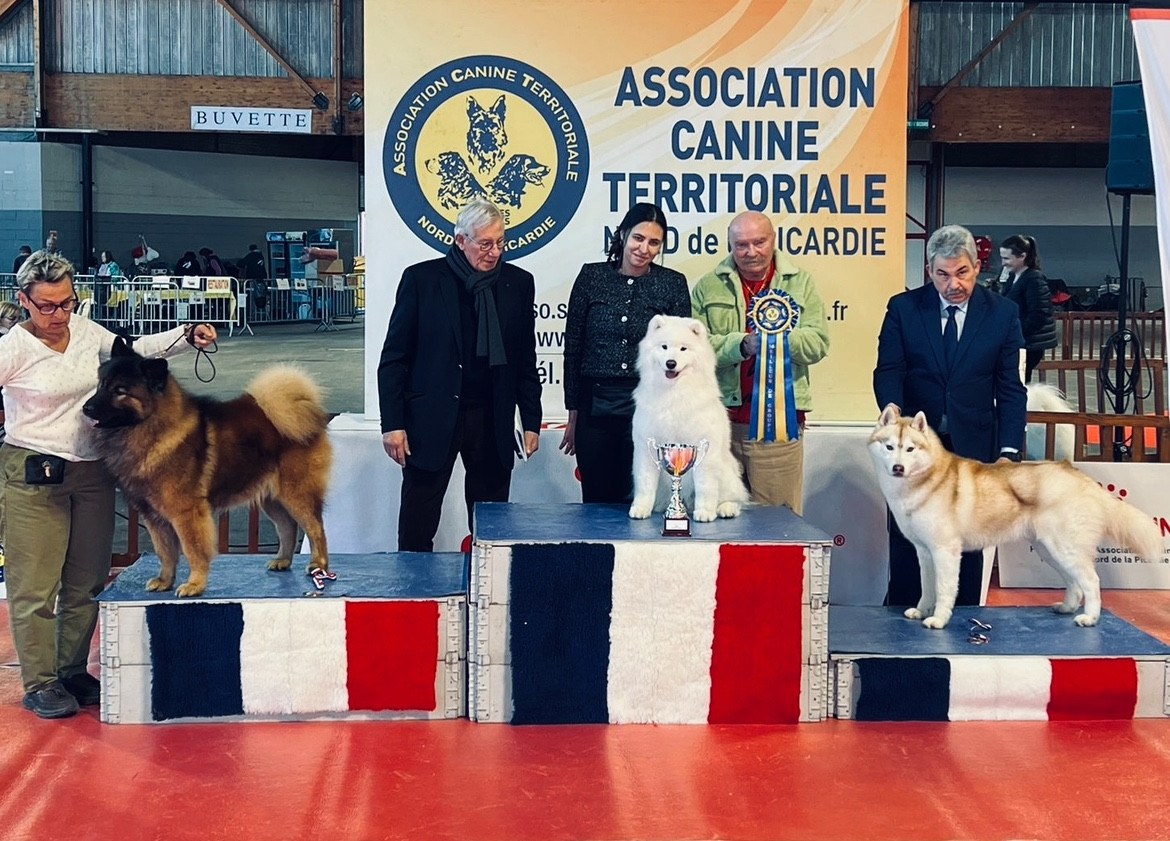CH. Uptown Girl Daytona boschi vecchi - 1 EXCELLENT MEILLEUR DE RACE- BOG
