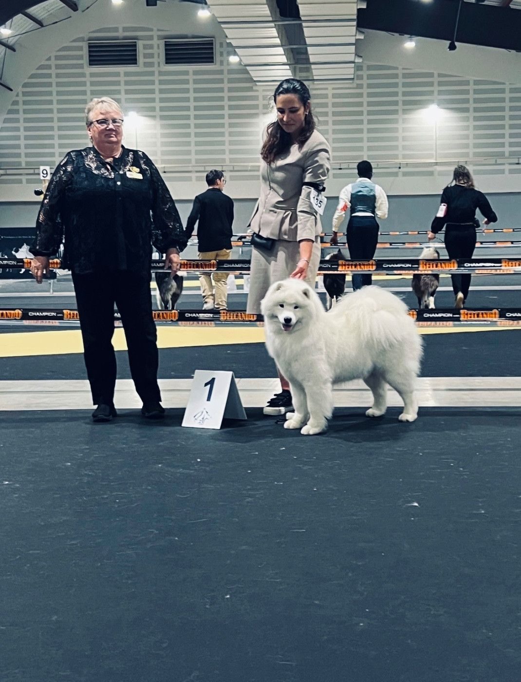 CH. Uptown Girl Daytona boschi vecchi - 1er Excellent- RCAC NE