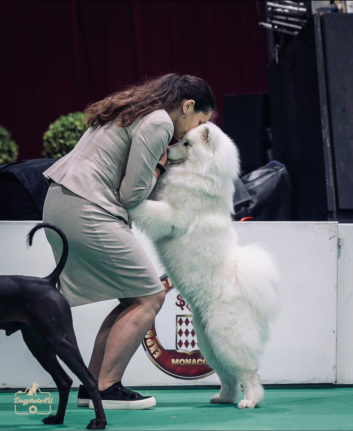 CH. Uptown Girl Daytona boschi vecchi - 1er excellent - CACM- CACIB-BOB - top list Main ring