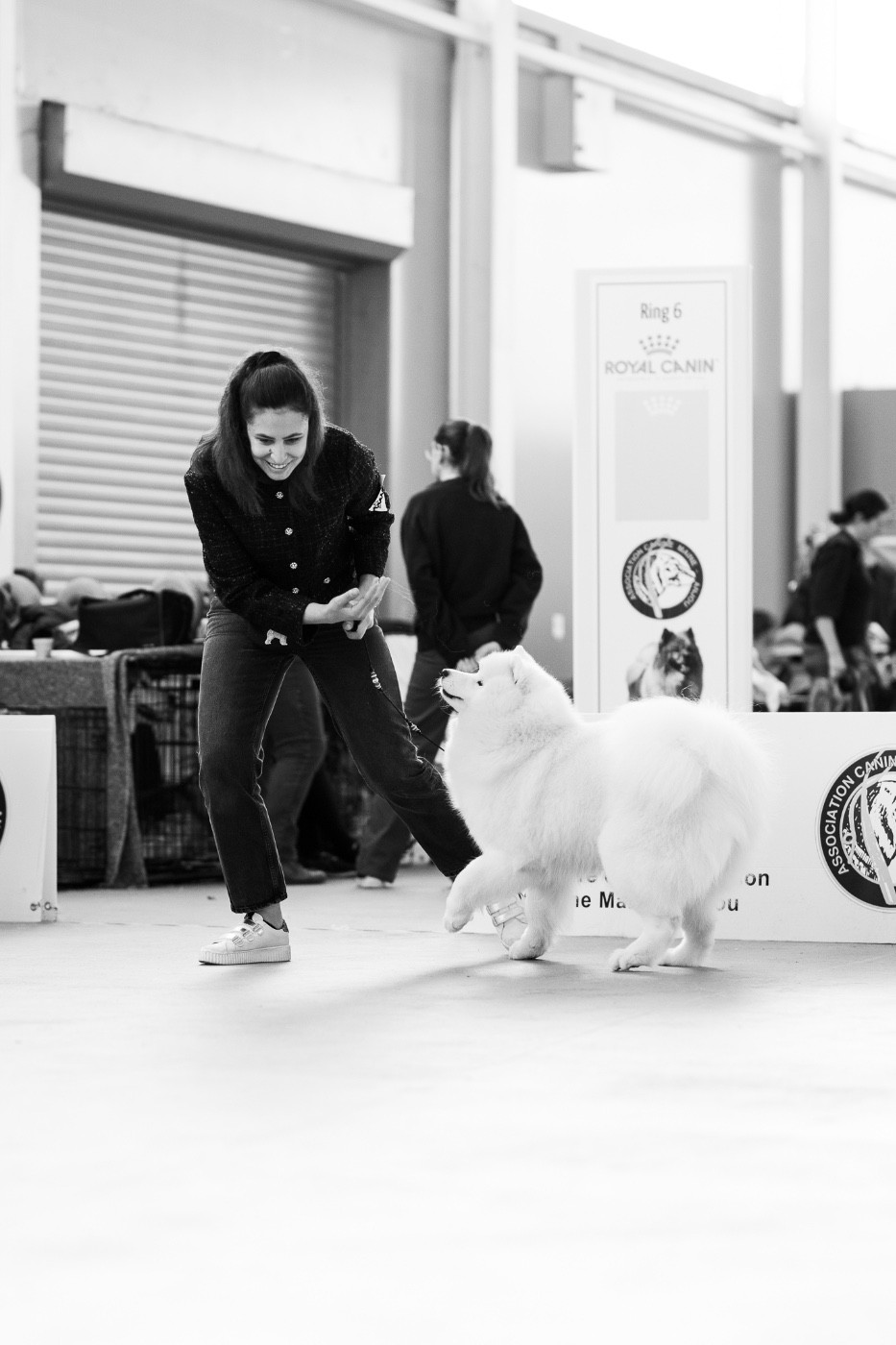 CH. Uptown Girl Daytona boschi vecchi - 1er excellent - CAC - BOB
