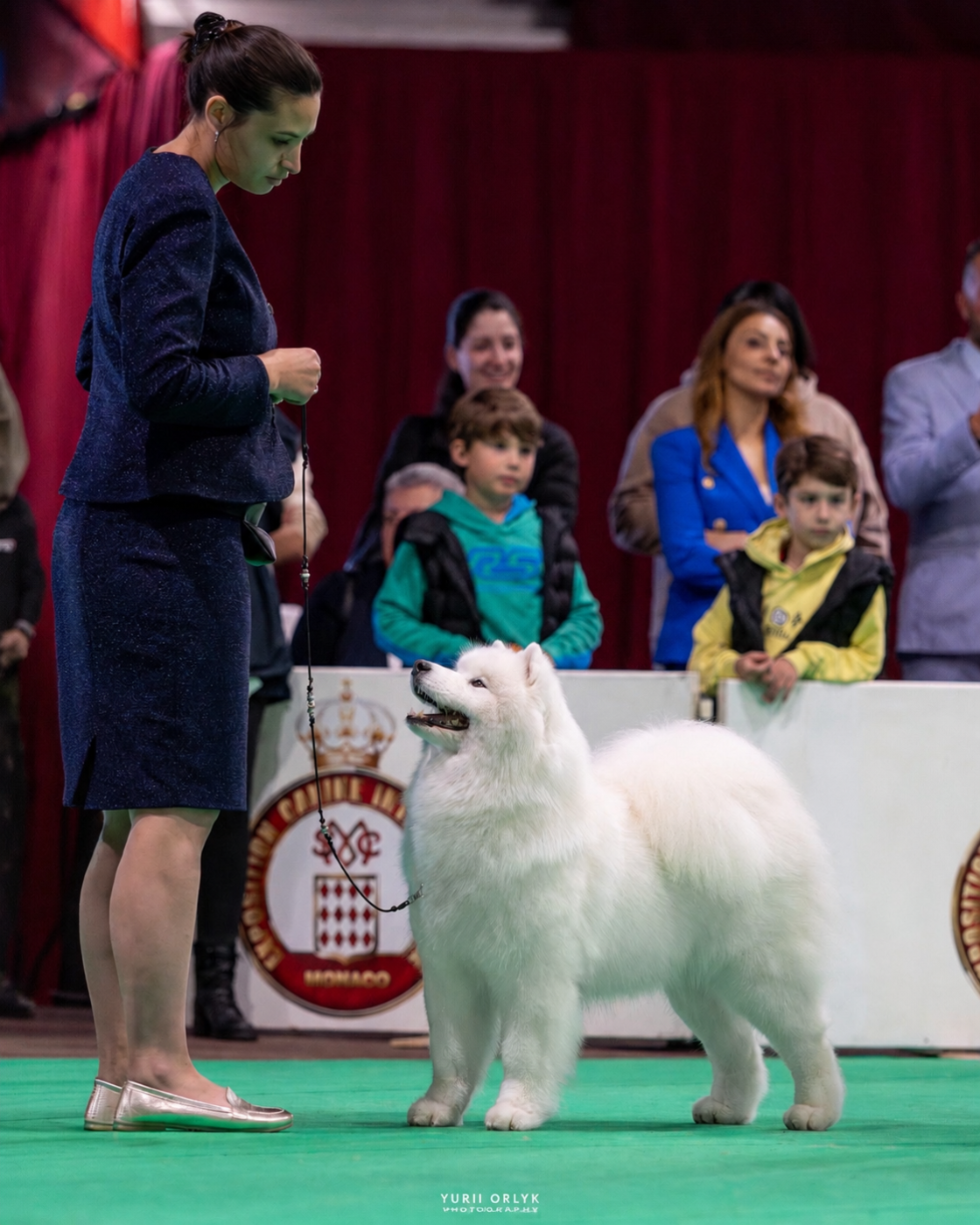 CH. Uptown Girl Daytona boschi vecchi - 1er ex- CACM - CACIB -BOB