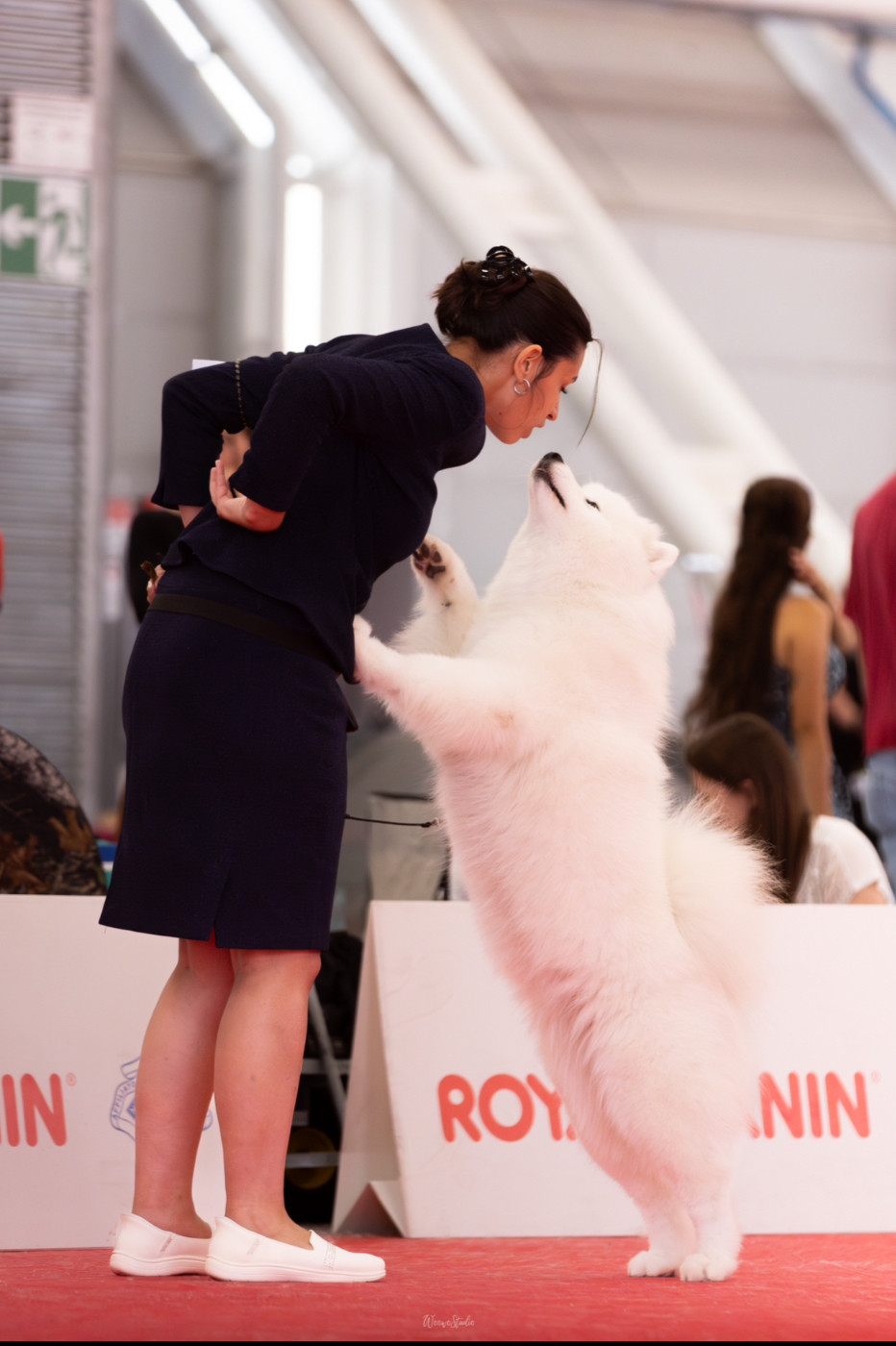 CH. Uptown Girl Daytona boschi vecchi - 1er ex- CAC