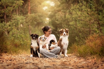 Shepherds Of Dreamland