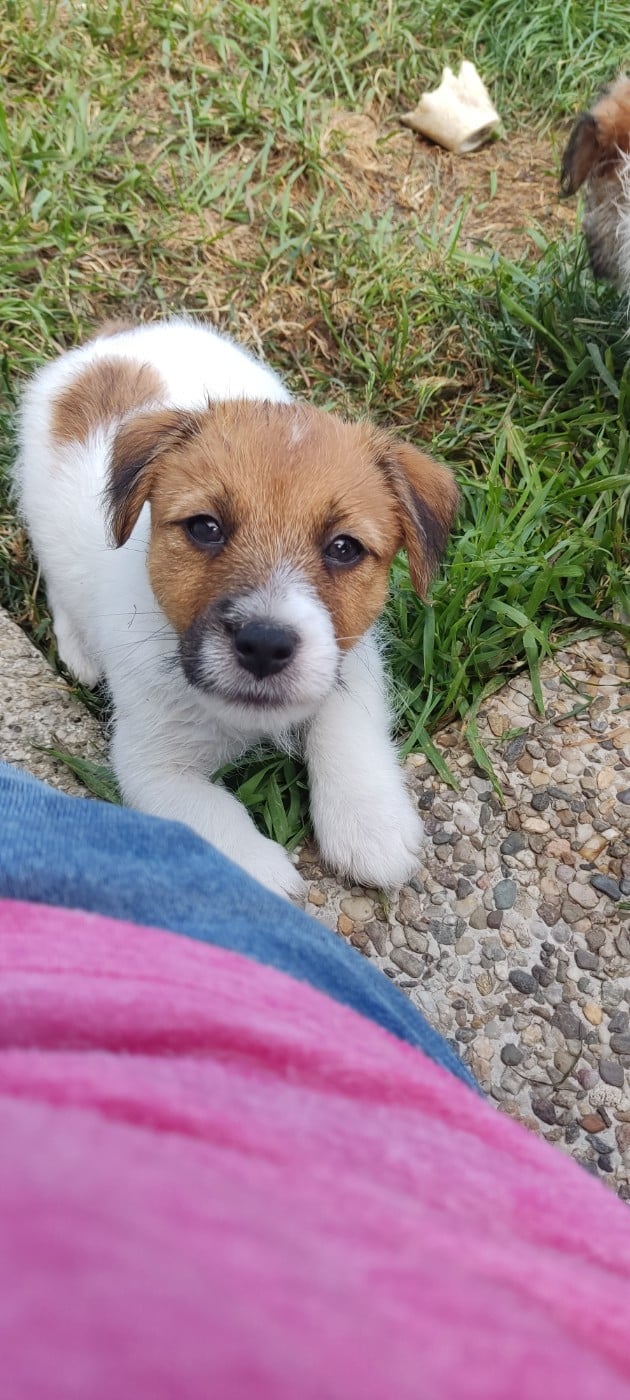 Billy