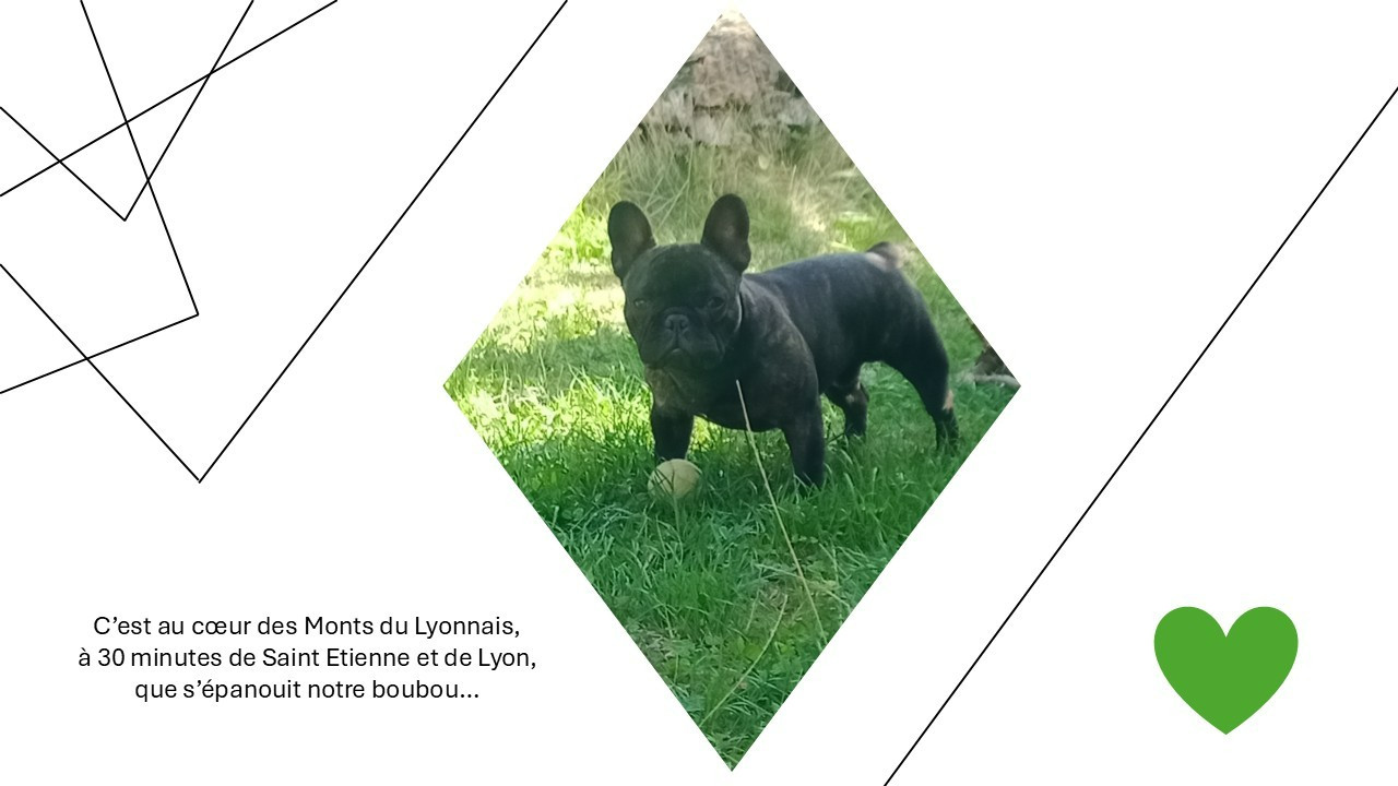Publication : Alexandre Petris